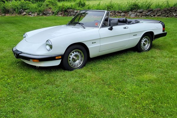No-Reserve 1986 Alfa Romeo Spider Graduate Convertible