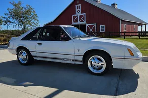 True Survivor: 1984-1/2 Ford Mustang GT350 Anniversary Edition 5.0