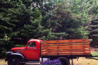 1947 Chevrolet * just tuned up and ready to go!
