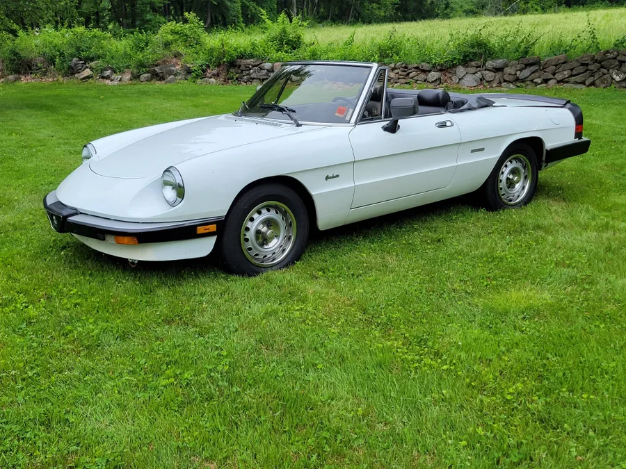 1986 Alfa Romeo Spider