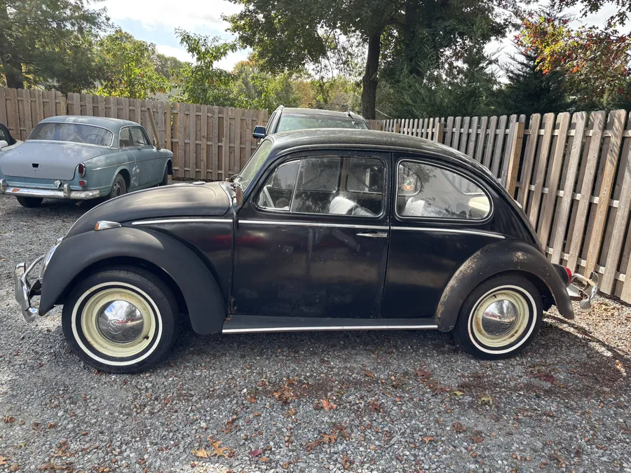 1965 Volkswagen Beetle Base