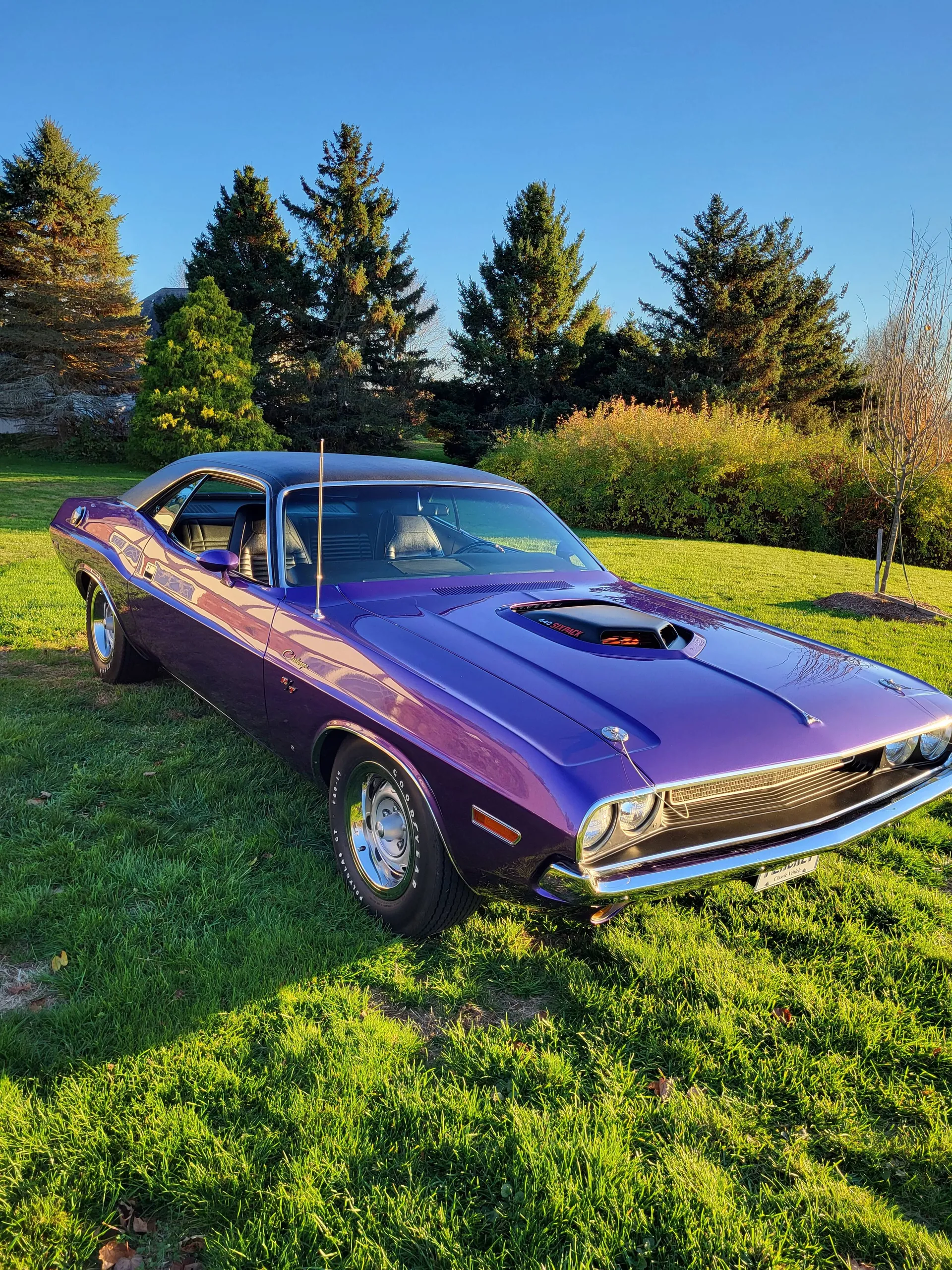 Sold - Rotisserie Restored Rare 1970 Dodge Challenger R/T 440 Six