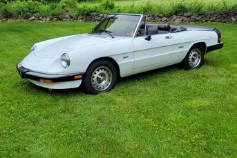 No-Reserve 1986 Alfa Romeo Spider Graduate Convertible